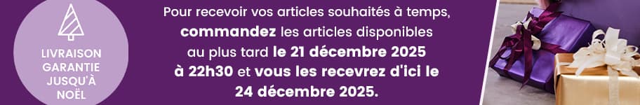 Livraison garantie jusqu'à Noël – Commandez avant le 21 décembre 2025. Cadeaux emballés avec rubans violets et dorés.